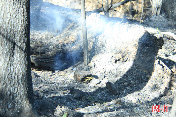 Hà Tĩnh xác định mức độ thiệt hại của vụ cháy rừng lớn nhất từ trước đến nay