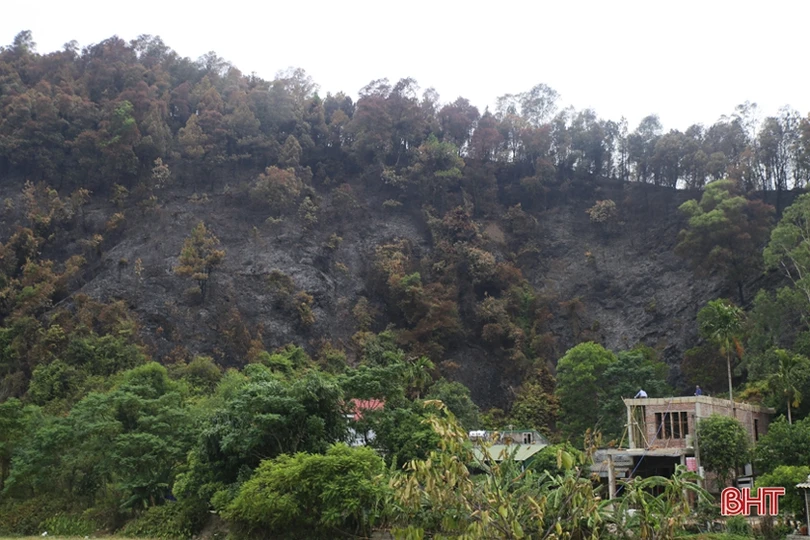 Rừng ở Nghi Xuân hoang tàn sau 3 ngày chìm trong lửa