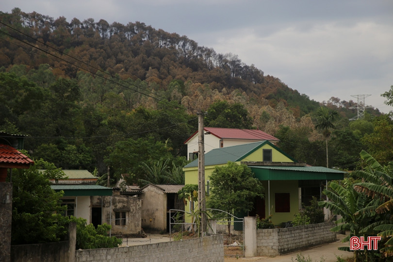 Rừng ở Nghi Xuân hoang tàn sau 3 ngày chìm trong lửa
