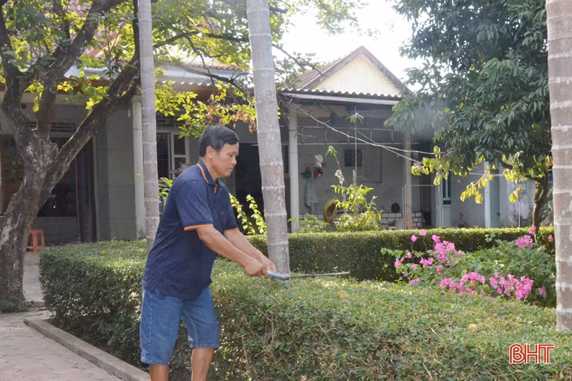 Chủ vườn mẫu Hà Tĩnh chia sẻ kinh nghiệm giữ màu xanh cây trồng khi nắng hạn