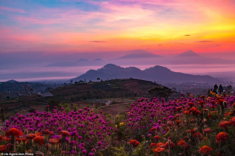 Tay máy Việt Nam đoạt giải cao nhất cuộc thi ảnh quốc tế AGORA Images Beauty 2019