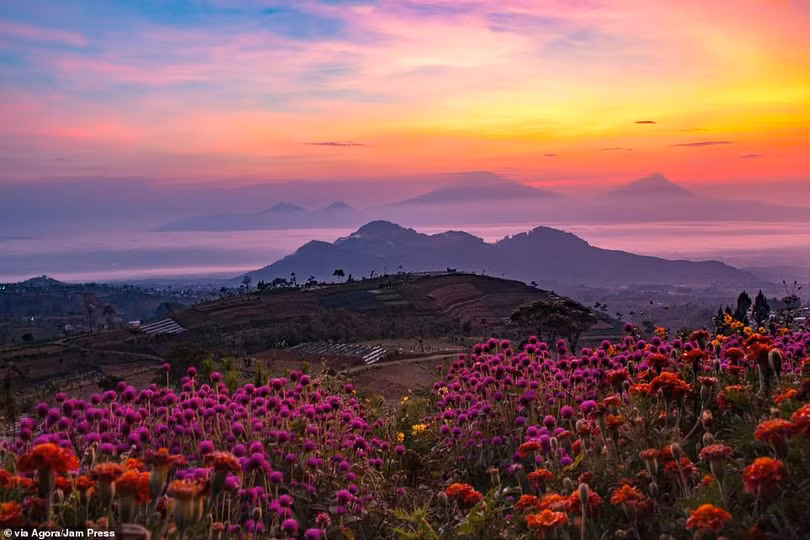 Tay máy Việt Nam đoạt giải cao nhất cuộc thi ảnh quốc tế AGORA Images Beauty 2019