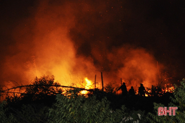 Cháy rừng ở Đức Thọ gây thiệt hại 6,5ha