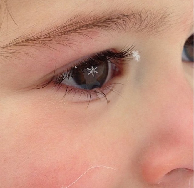 Hoa mắt chóng mặt với khoảnh khắc tình cờ “chộp“ được