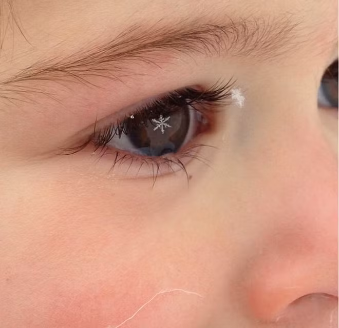 Hoa mắt chóng mặt với khoảnh khắc tình cờ “chộp“ được