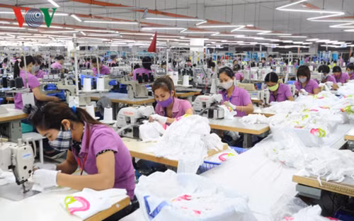 Hiệp định EVFTA và IPA - cú hích để Việt Nam phát triển theo hướng hiện đại