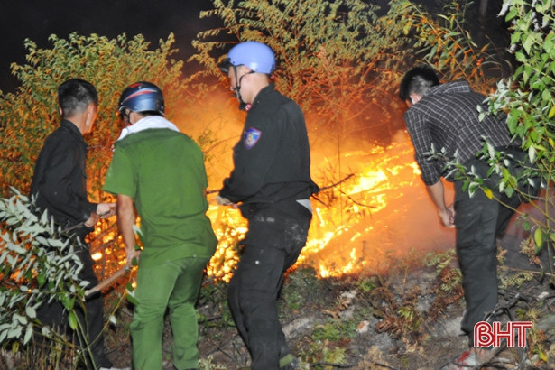 Cháy rừng ở Đức Thọ gây thiệt hại 6,5ha