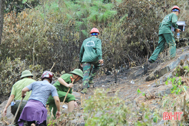 Hà Tĩnh xác định mức độ thiệt hại của vụ cháy rừng lớn nhất từ trước đến nay