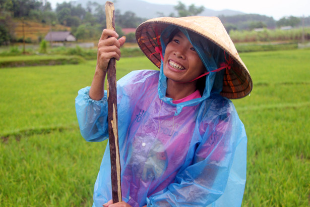 Hà Tĩnh mưa diện rộng: Những cánh rừng dịu mát, giải khát cả ruộng đồng!