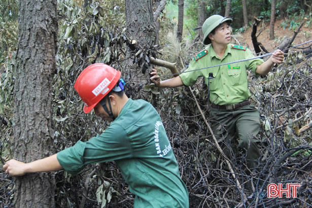 Hà Tĩnh xác định mức độ thiệt hại của vụ cháy rừng lớn nhất từ trước đến nay