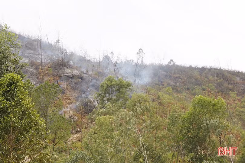 Phó Thủ tướng Vương Đình Huệ: Chủ động “4 tại chỗ” trong phòng chống cháy rừng