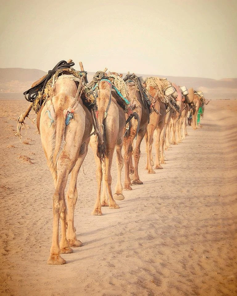 Vùng đất kỳ lạ có địa hình như bề mặt sao Hỏa