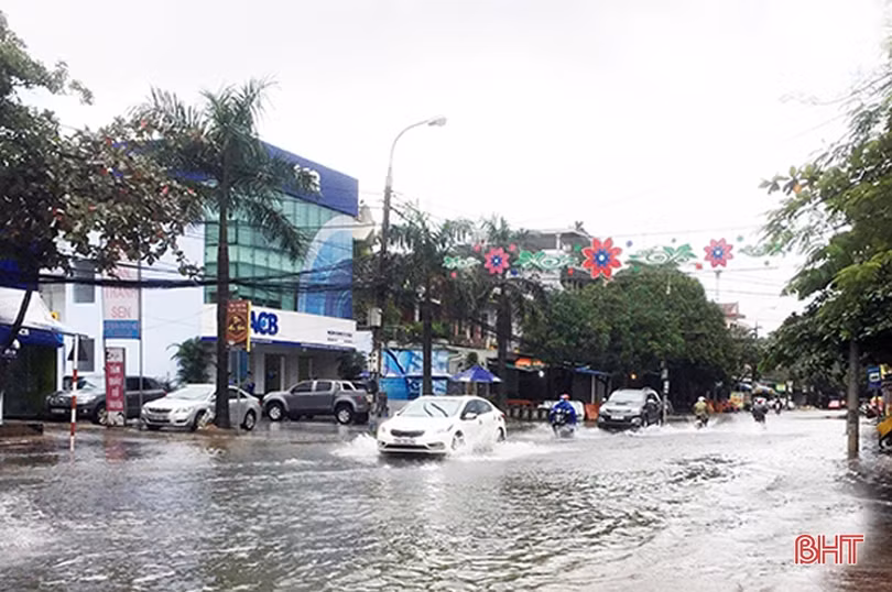 Hà Tĩnh mưa diện rộng: Những cánh rừng dịu mát, giải khát cả ruộng đồng!