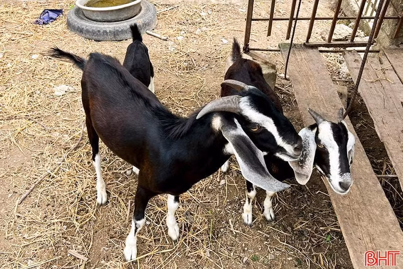 7-5315.jpg