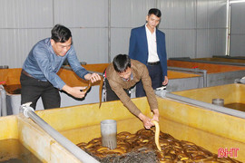 Người dân Sơn Hồng phát triển đa dạng mô hình kinh tế, tạo sinh kế bền vững