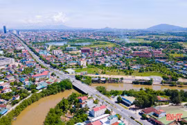 Tự hào nguồn cội