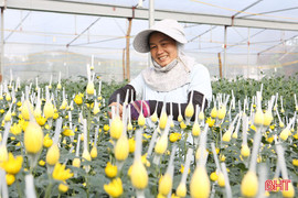 Bàn tay đan những mùa hoa...