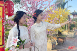Người Hà Tĩnh rạo rực đón xuân
