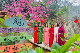 Nhiều hoạt động ý nghĩa tại lễ hội Hải Thượng Lãn Ông