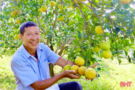 Phát huy vai trò người cao tuổi trong phát triển kinh tế thời đại mới