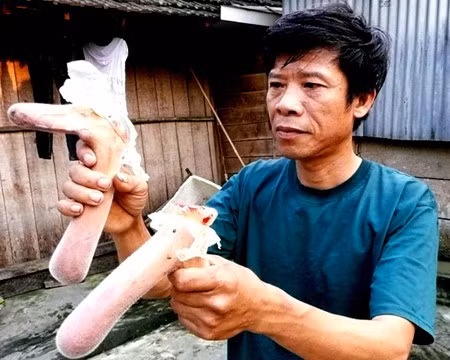 Đôi nhung hươu trị giá 5-6 triệu đồng Đôi nhung hươu trị giá 5-6 triệu đồng