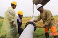 Gấp rút khôi phục lưới điện sau dông lốc ở Hà Tĩnh