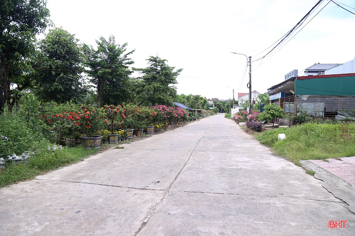 Người dân mong muốn nhà vườn được dời dọn tới vị trí thích hợp, thay vì nằm sát khu dân cư. bqbht_br_thuoc-bao-ve-thuc-vat-4.jpg