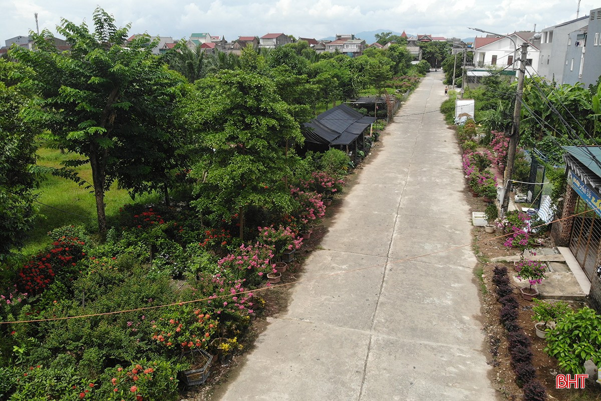 Khu vực nhà vườn kinh doanh hoa, cây cảnh của hộ gia đình ông Nguyễn Văn Cúc ở ngõ 33, đường Hà Huy Tập, TDP 1, phường Thành Sen. bqbht_br_thuoc-bao-ve-thuc-vat-8.jpg