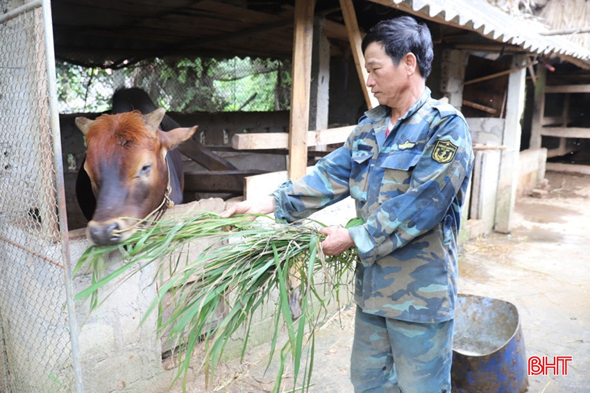 Ở tuổi 60, CCB Nguyễn Văn Tâm không chỉ giỏi làm kinh tế mà còn gương mẫu trong các phong trào. bqbht_br_img-5306.jpg