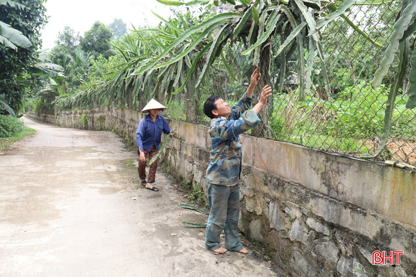 Năm 2020, khu vườn của ông Tâm đạt giải nhì vườn mẫu của huyện Hương Sơn. bqbht_br_img-5360.jpg
