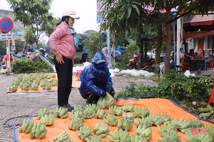 Chuối cúng tết ở Hà Tĩnh khan hàng, có nải lên tới 500 nghìn đồng