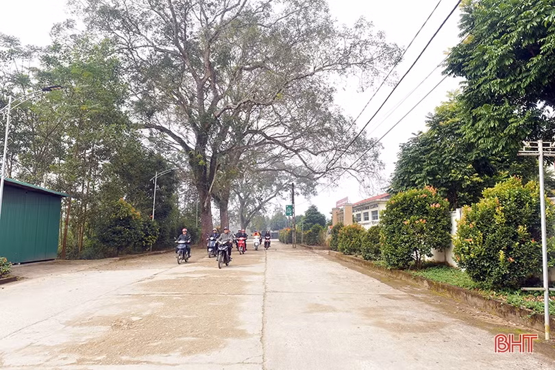 Về khu dân cư kiểu mẫu thông minh ở Hương Khê ngày đầu xuân