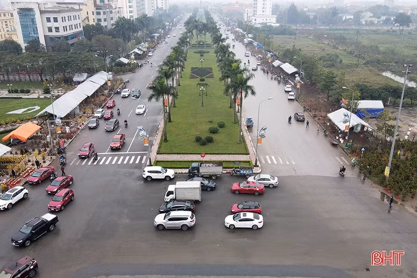 Hà Tĩnh: Đào, quất vắng người mua, tiểu thương như “ngồi trên lửa”