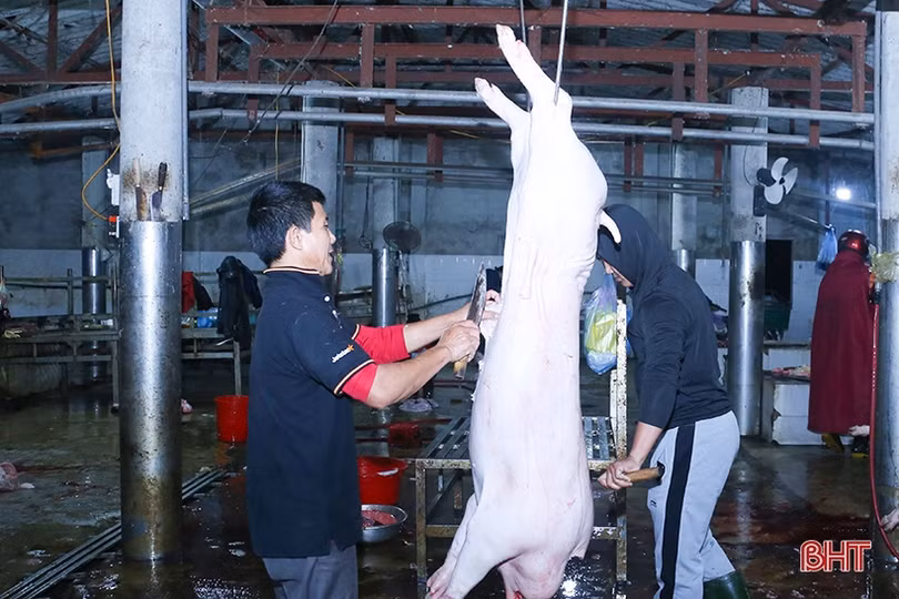 Lượng gia súc giết mổ, tiêu thụ tăng cao, Hà Tĩnh tăng cường kiểm soát