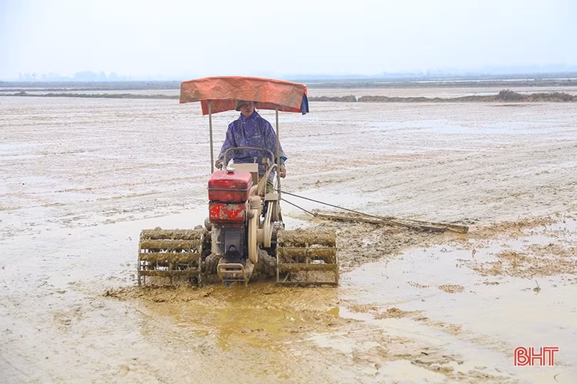 Những mầm xanh vụ mới ở Hà Tĩnh
