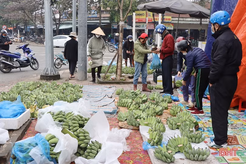 Chuối cúng tết ở Hà Tĩnh khan hàng, có nải lên tới 500 nghìn đồng