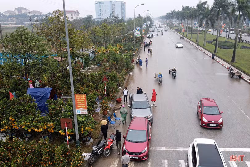 Hà Tĩnh: Đào, quất vắng người mua, tiểu thương như “ngồi trên lửa”