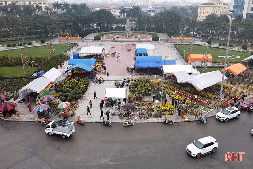 Hà Tĩnh: Đào, quất vắng người mua, tiểu thương như “ngồi trên lửa”