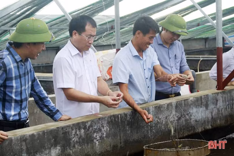 Cuộc “cách mạng” mới trên đồng ruộng Lộc Hà