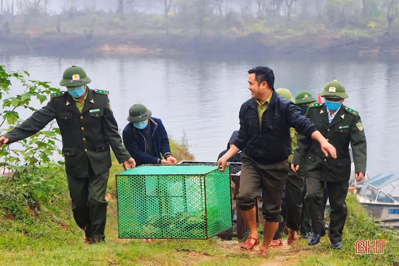 “Vườn di sản ASEAN” - cái nôi của các loài động vật hoang dã ở Hà Tĩnh