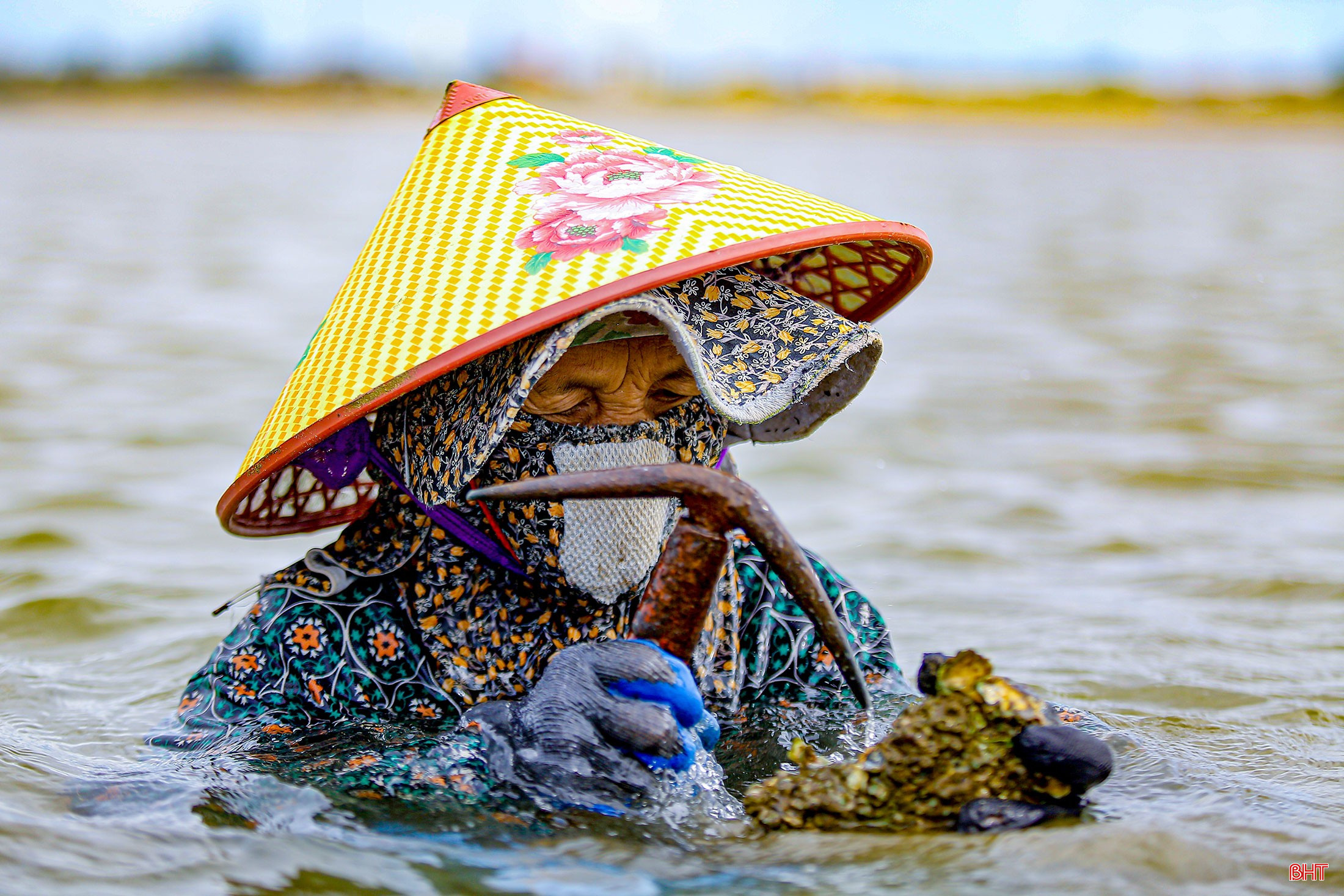 Để bắt được hàu, những người phụ nữ phải ngâm mình trong nước biển hàng giờ đồng hồ. bqbht_br_image-3-2898.jpg