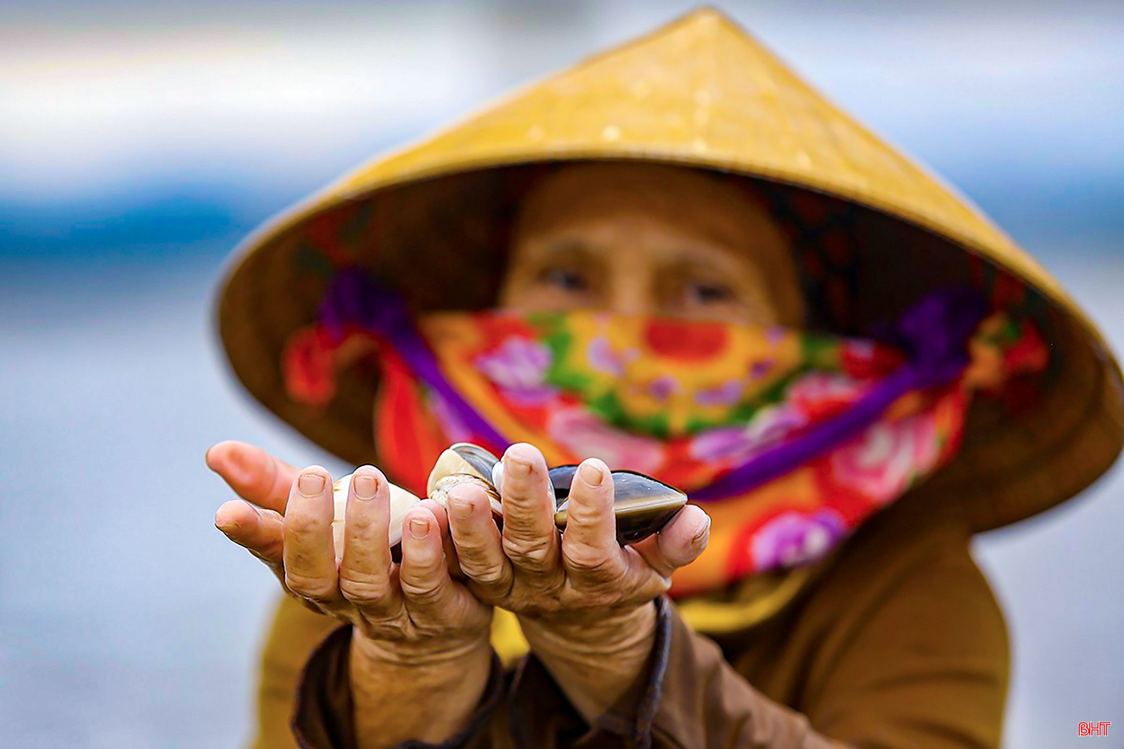Nghề cào nghêu cực nhọc, thu nhập thấp và tiềm ẩn nhiều nguy hiểm. bqbht_br_image-9.jpg