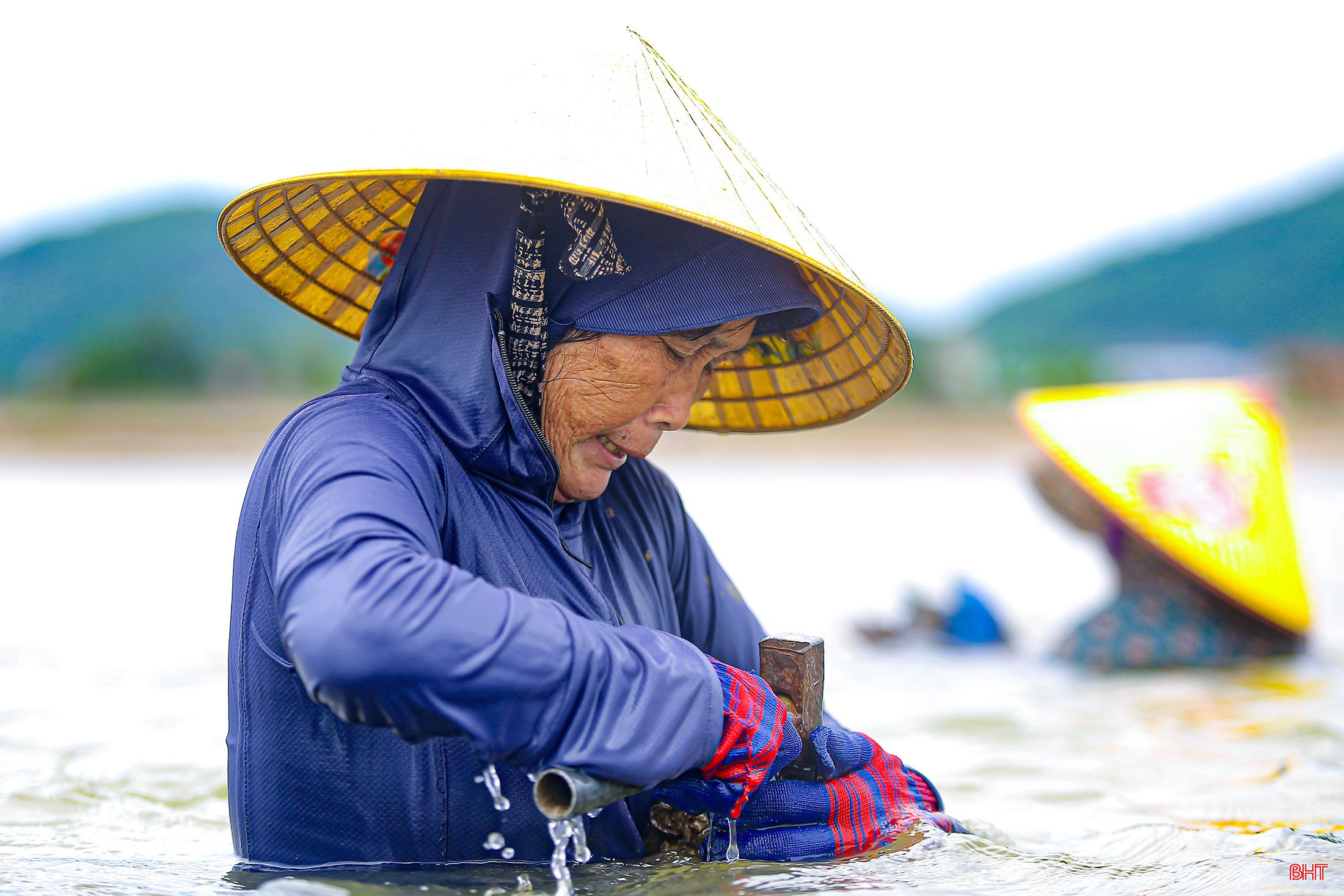 Tuổi gần 70, bà Lân ngày ngày gắn bó với nghề đục hàu để nuôi gia đình. bqbht_br_333.jpg