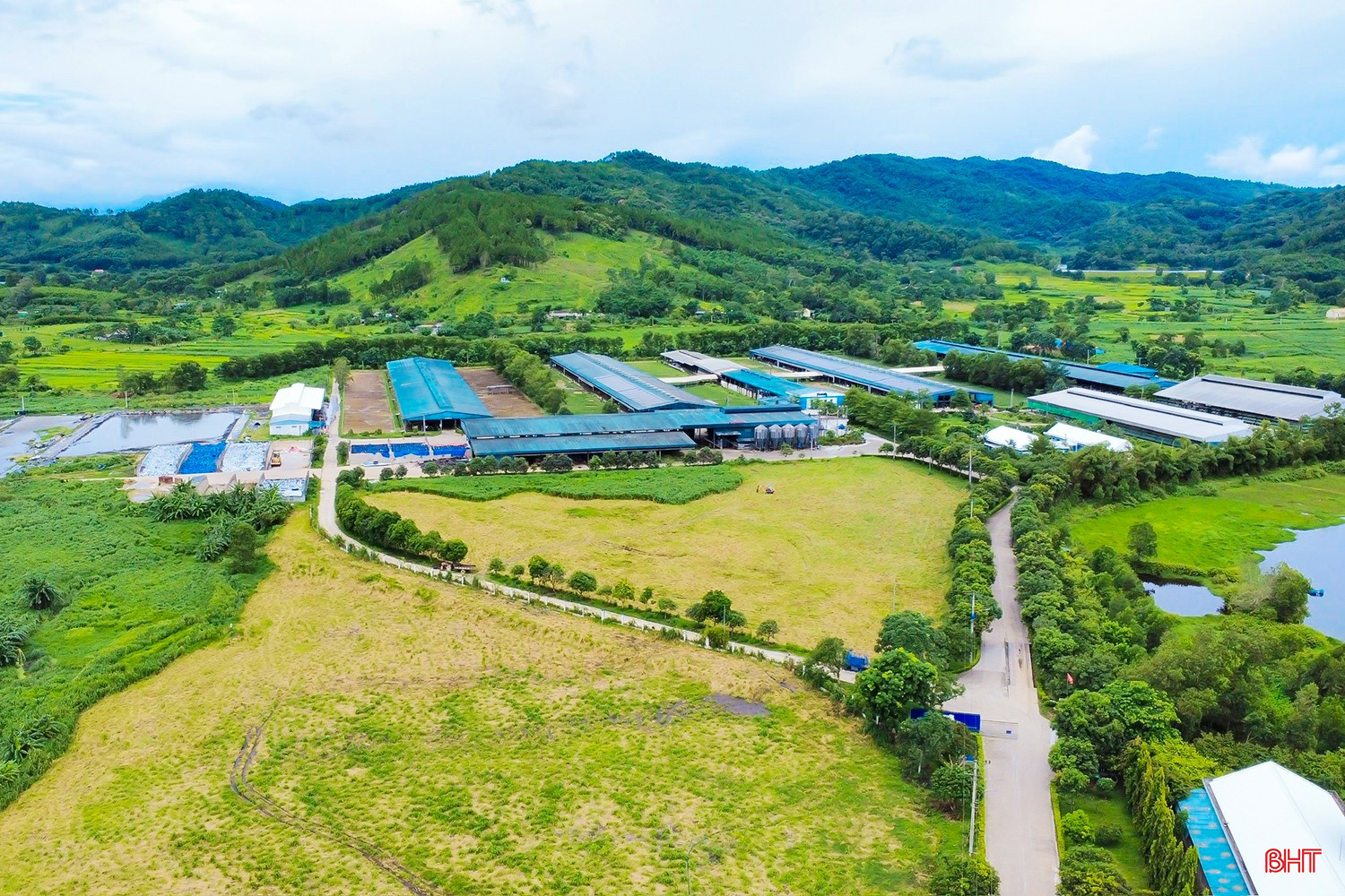Toàn cảnh trang trại chăn nuôi bò sữa của Công ty Vinamilk tại xã Sơn Tiến. bqbht_br_image-8.jpg