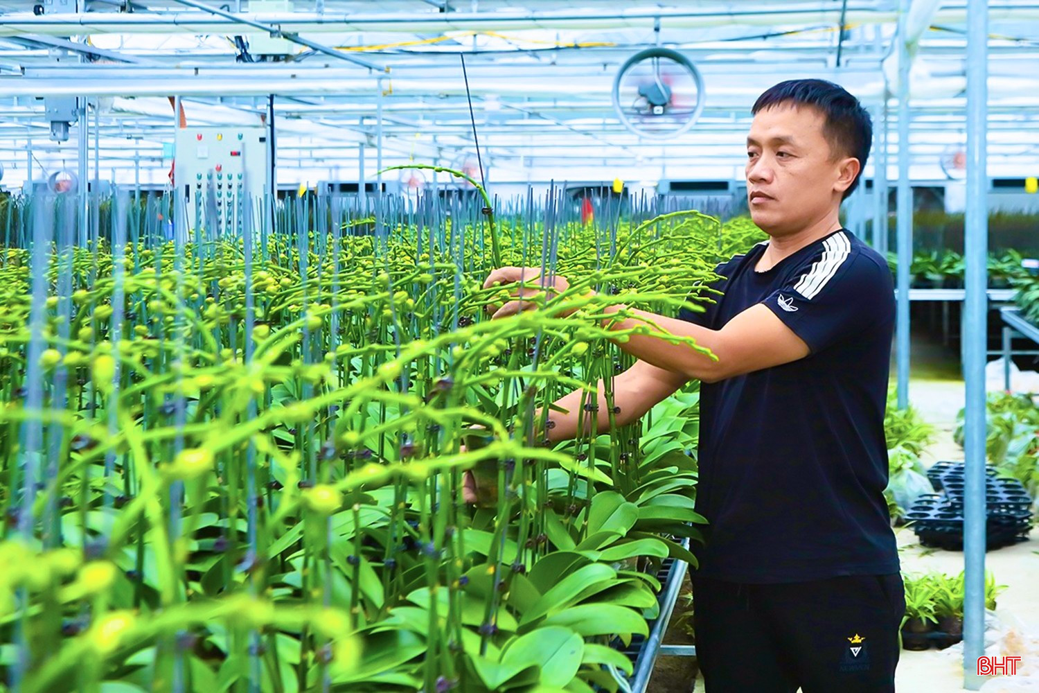 Với đức tính siêng năng, cần cù, chịu khó học hỏi, người dân nơi đây vẫn vượt qua khó khăn, xây dựng kinh tế. Trong ảnh: Mô hình trồng hoa lan công nghệ cao cho hiệu quả kinh tế cao ở xã Thạch Khê. bqbht_br_2.jpg