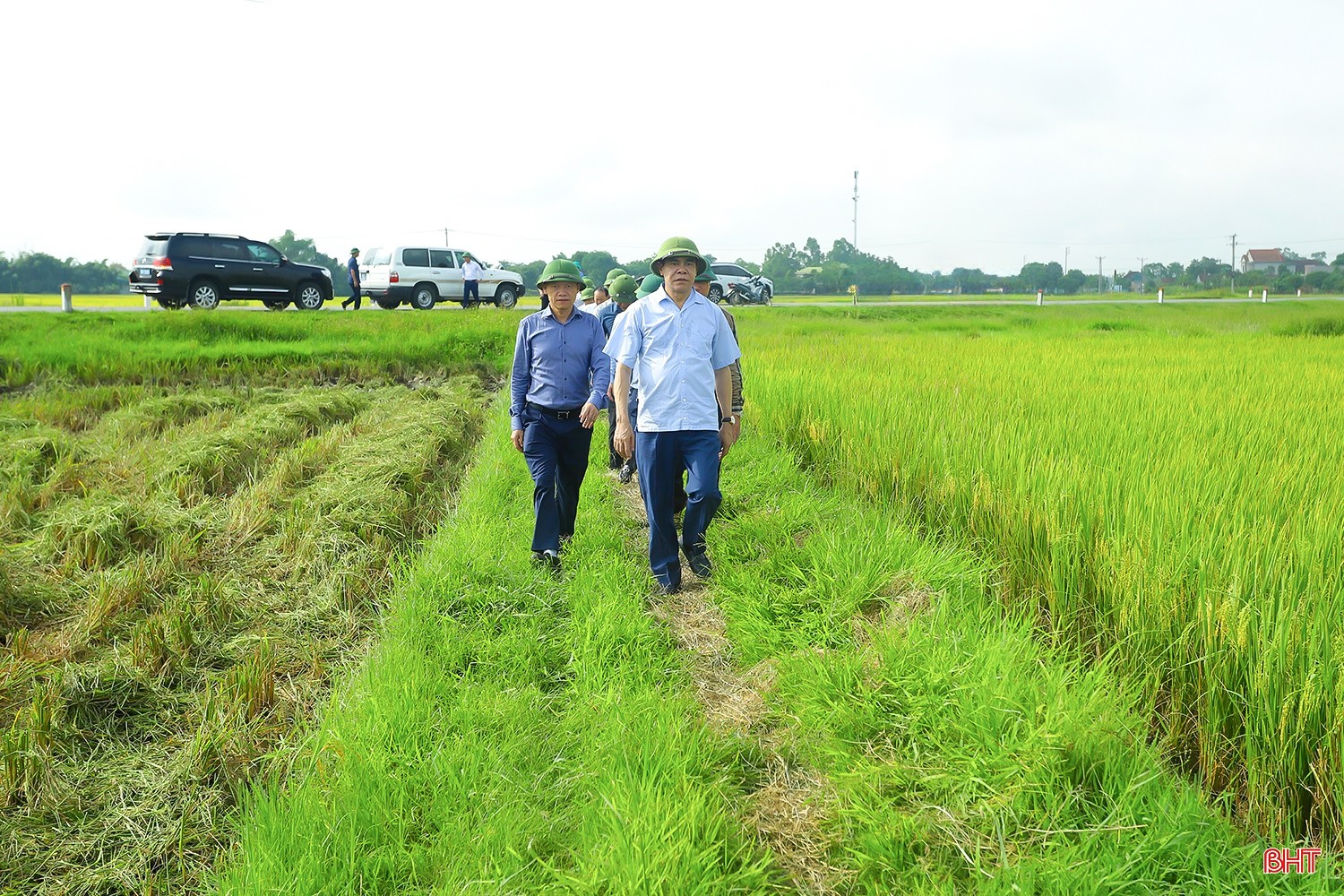 Lãnh đạo UBND tỉnh thường xuyên kiểm tra, động viên sản xuất nông nghiệp, xây dựng NTM. image-7-718.jpg