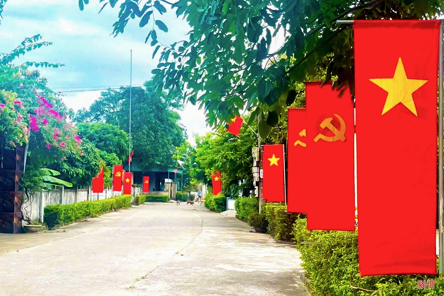 image-7.jpg