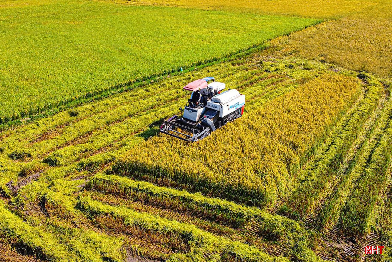 Xã Cẩm Bình là địa phương đi đầu trong việc hiện đại hoá nền nông nghiệp, tập trung ruộng đất, sản xuất hàng hoá. bqbht_br_img-1758679460111-1758902222127-1085.jpg