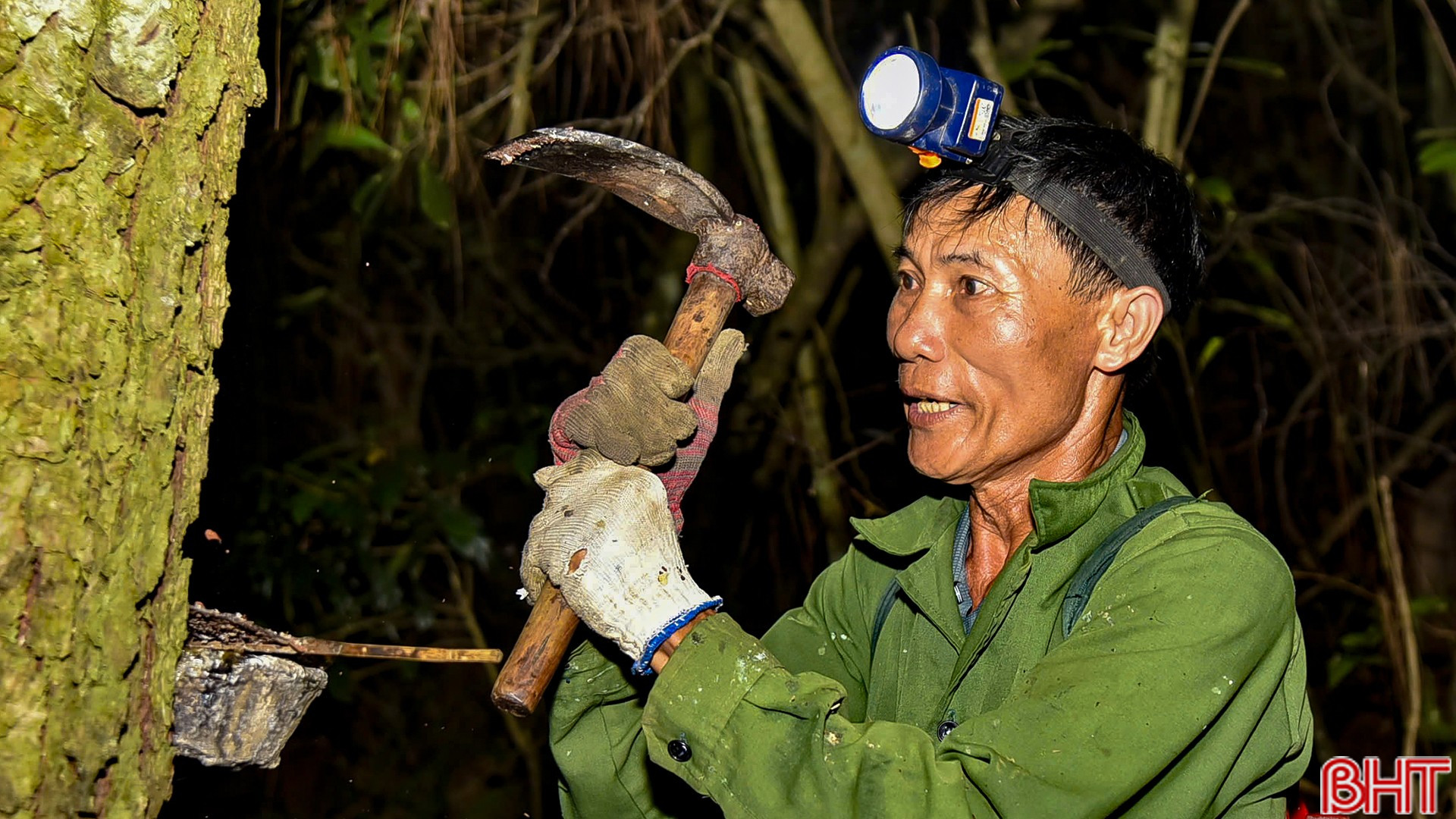 Người đàn ông 25 năm cuốc nhựa thông trong đêm