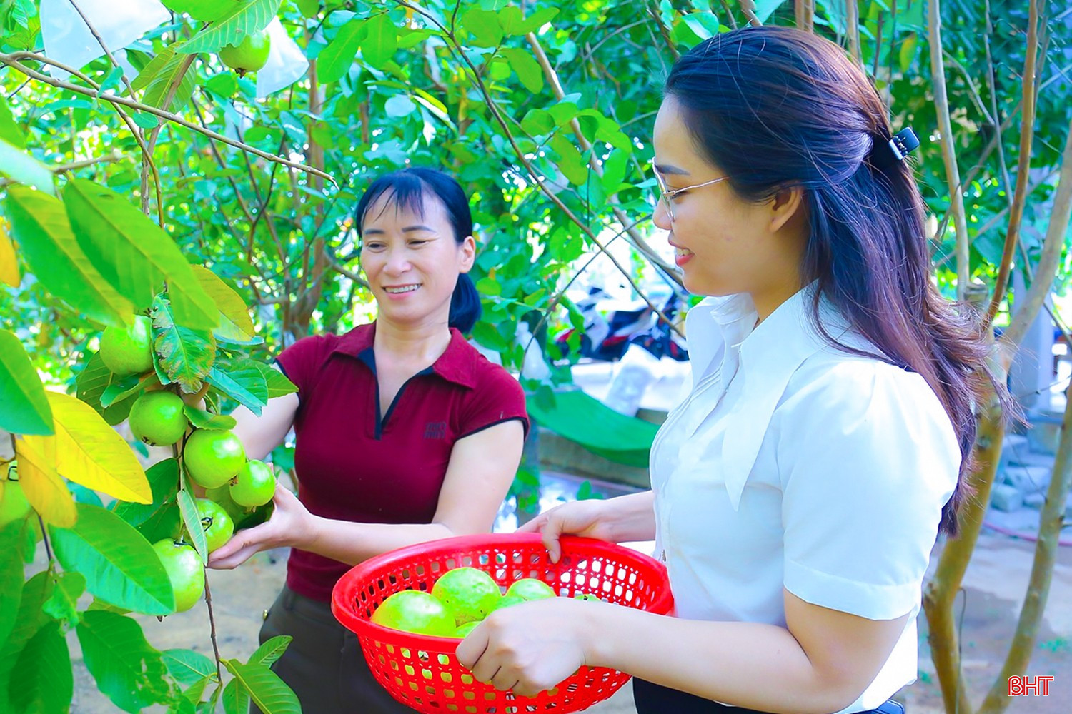 Xã Cẩm Trung xác định việc nâng cao chất lượng các tiêu chí NTM là nền tảng quan trọng để phát triển đời sống Nhân dân. bqbht_br_image-5.jpg